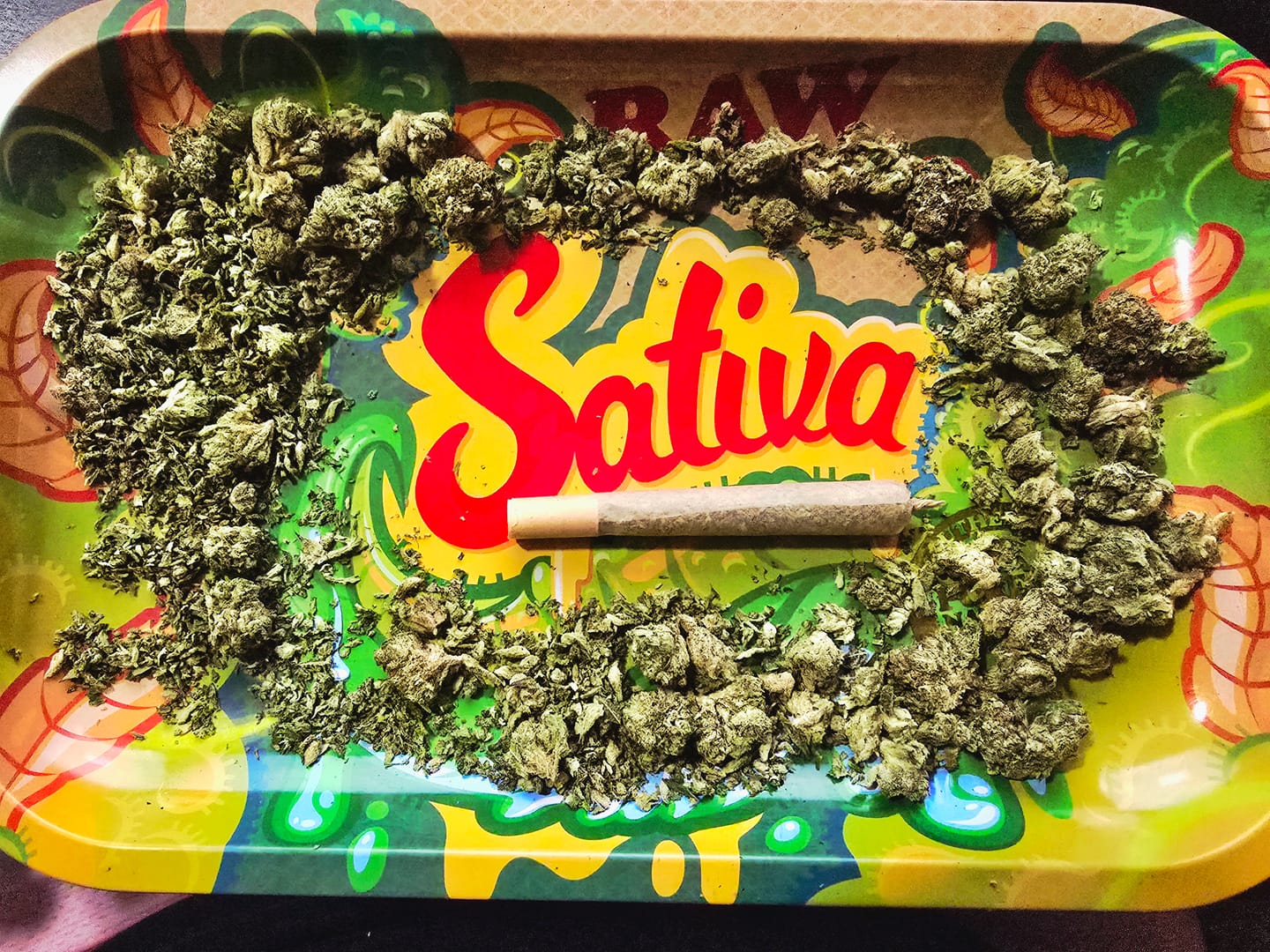 Customer photo review of Dank Blueberry Cruffin THCA Flower