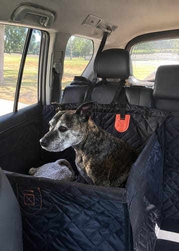 Customer photo review of Marlo&Co™ Single Seat Adventure Bundle