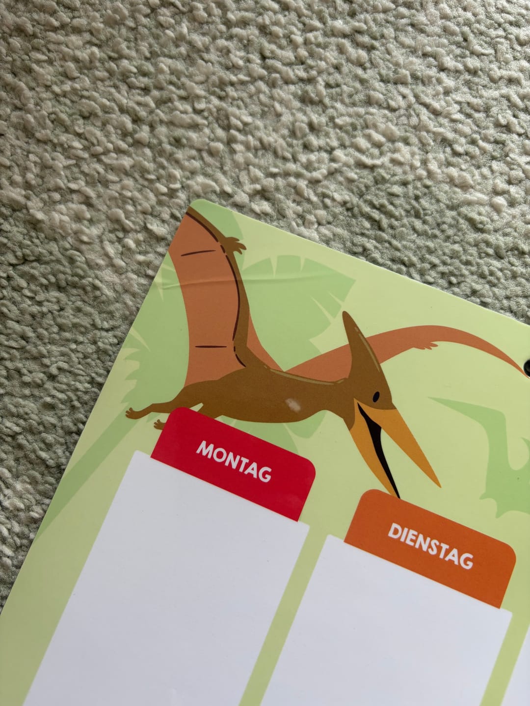Customer photo review of Edubini Magnetischer Wochenplaner für Kinder