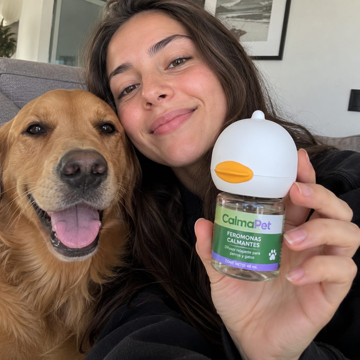 Customer photo review of Calmapet Kit de difusor calmante para perros