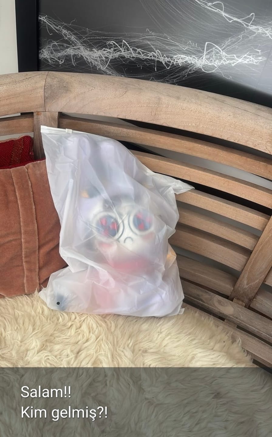 Customer photo review of Jax-Suit Pomni Plush