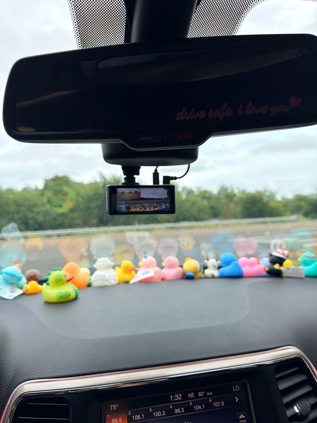 Customer photo review of Shipping Protection