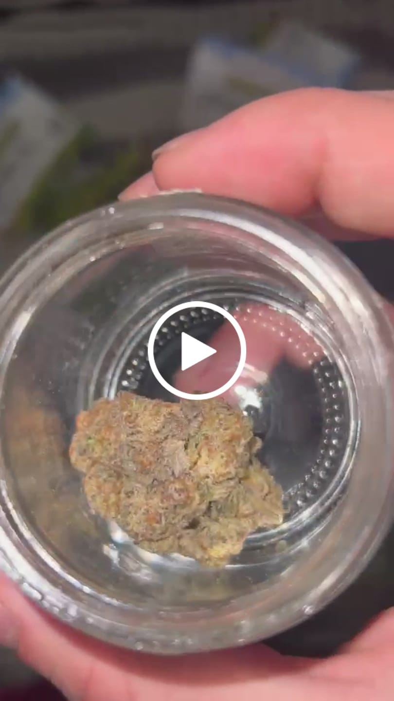 Customer video review of Galactic Punch Exotic THCA Flower
