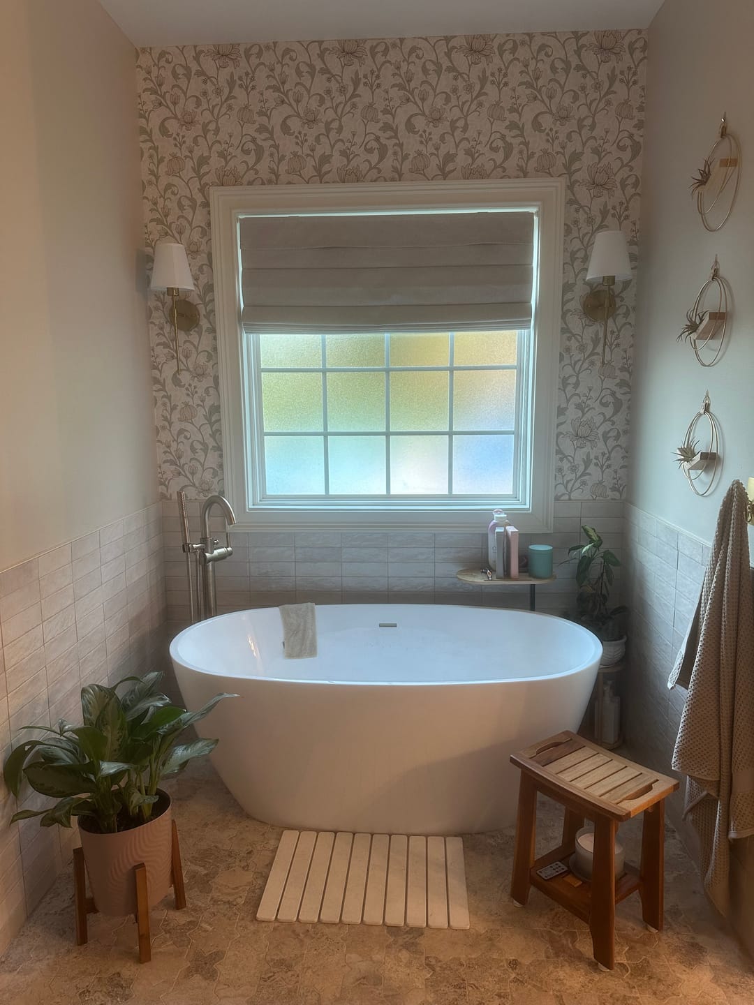 Customer photo review of Air Plant V-Hanger Trio