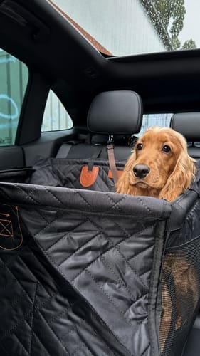 Customer photo review of Marlo&Co™ Single Seat Adventure Bundle