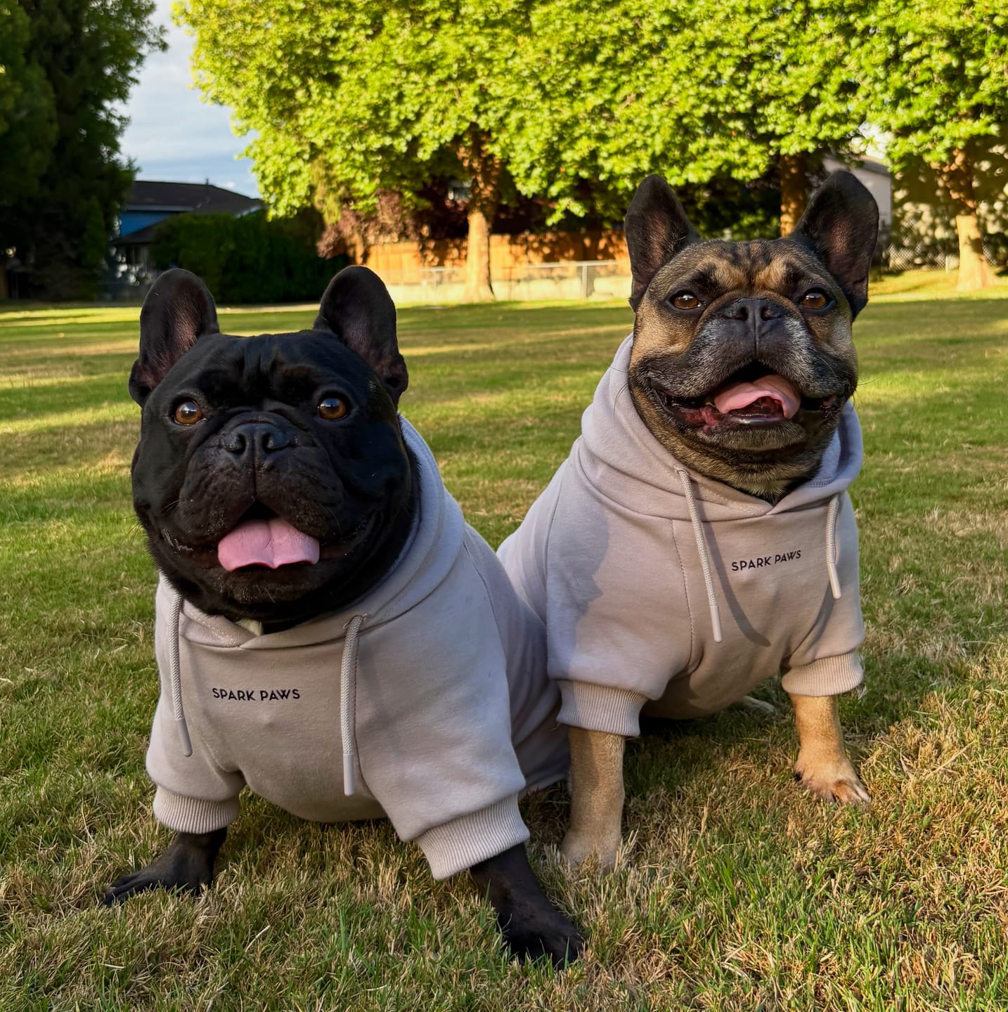 Customer photo review of Essential Dog Hoodie - Clay