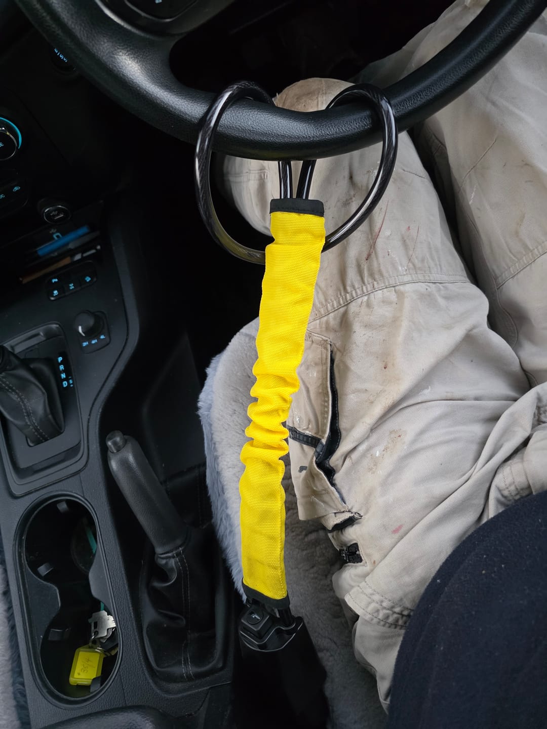 Customer photo review of Lock'd Car Defender — Visible Protection That Thieves Can't Ignore