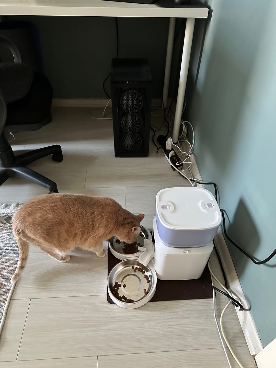 Customer photo review of Otomatik Mama Kabı (Kameralı) | Çelik Çift Kaseli, 4L, 1080P, 2MP, Sesli, Akıllı Mama Kabı