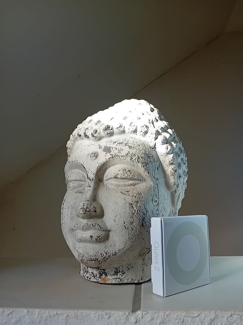 Customer photo review of Loop Quiet™ 2