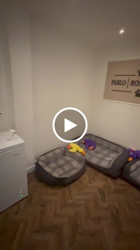 Customer video review of Pet Air Purifier