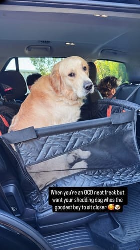 Customer photo review of Marlo&Co™ Single Seat Adventure Bundle