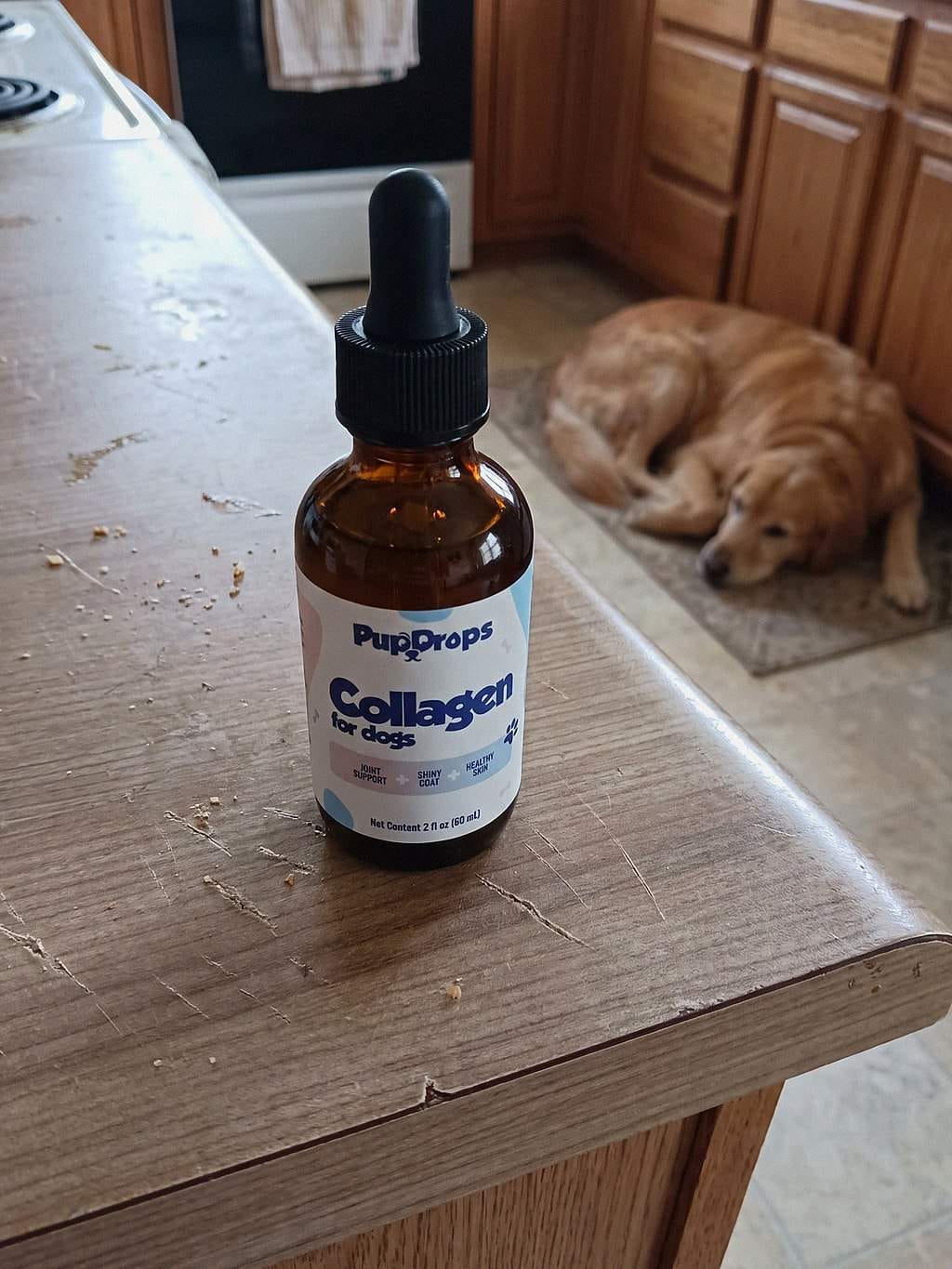 Customer photo review of Liquid Collagen for Dogs by Pupdrops
