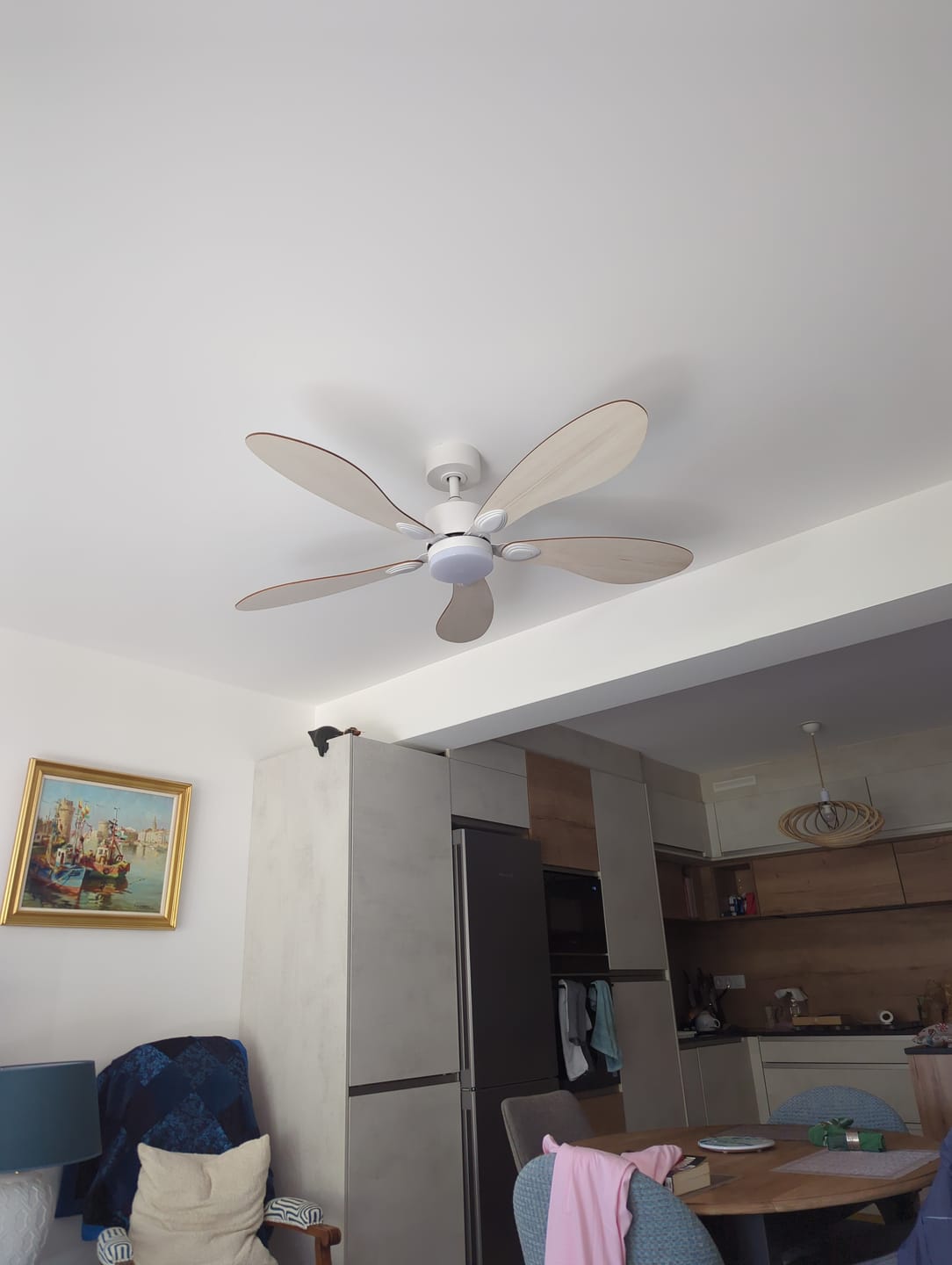Customer photo review of Libellule | Ventilateur de plafond