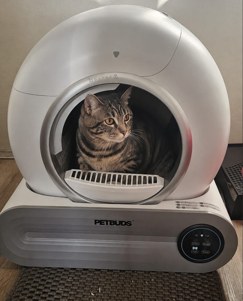 Customer photo review of Petbuds™ Pro 2026 Automatic Self-Cleaning Litter Box