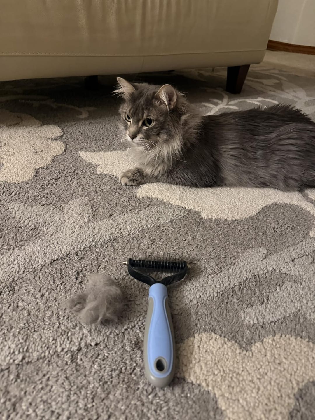 Customer photo review of FurEase™