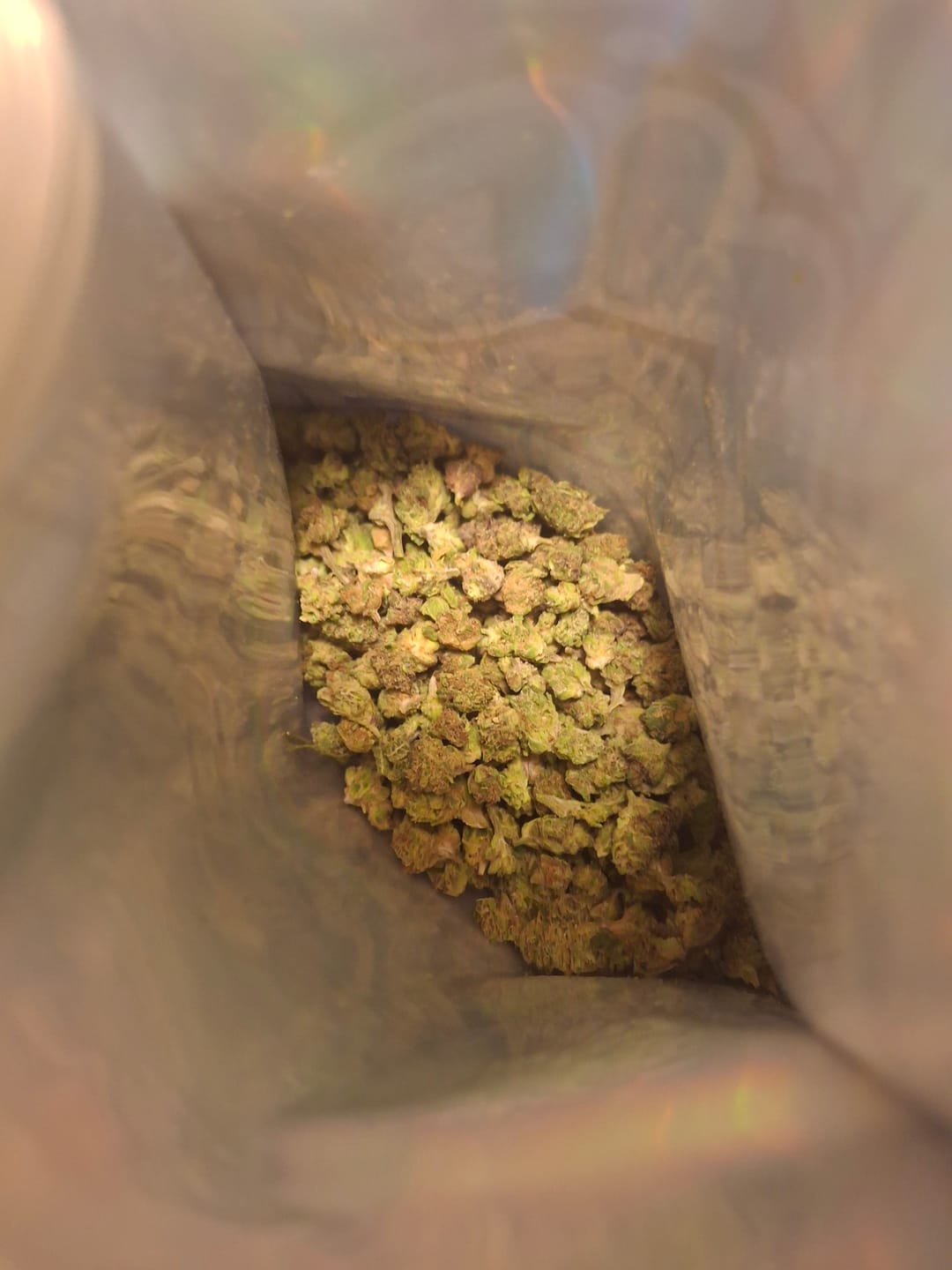 Customer photo review of Jungle Gelato - 28 Grams - Indica