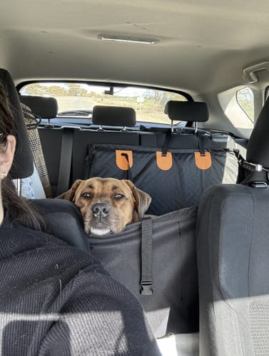 Customer photo review of Marlo&Co™ Single Seat Adventure Bundle