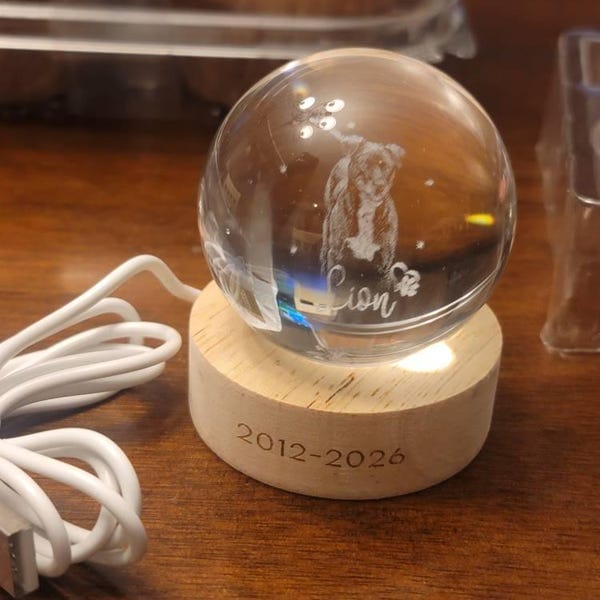 Customer photo review of Personalized Pet Portrait Crystal Ball Night Light