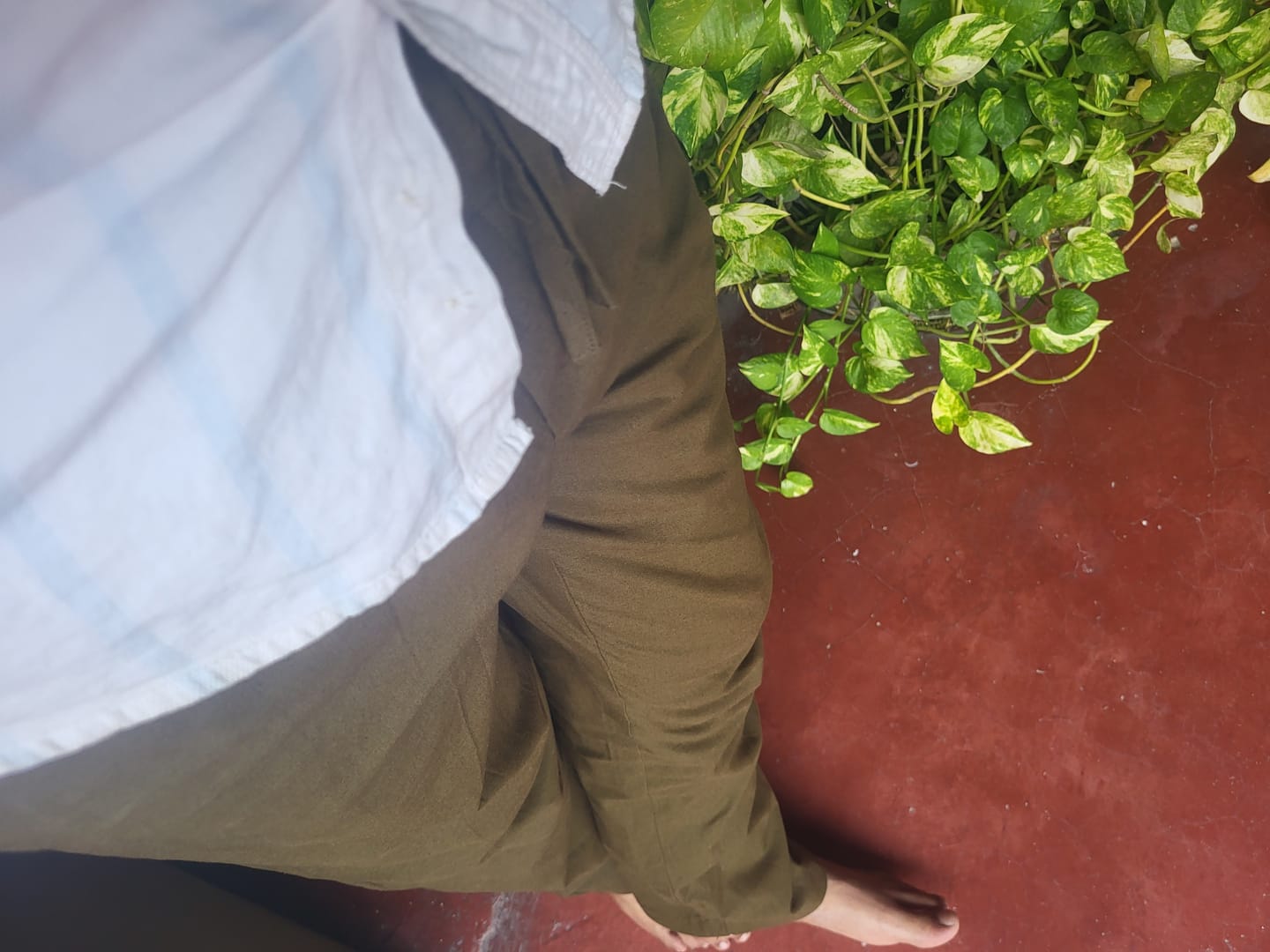 Customer photo review of Men Olive Green Cotton Pant