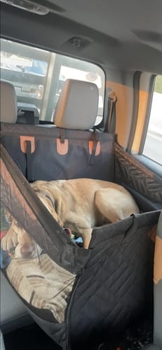 Customer photo review of Marlo&Co™ Single Seat Adventure Bundle