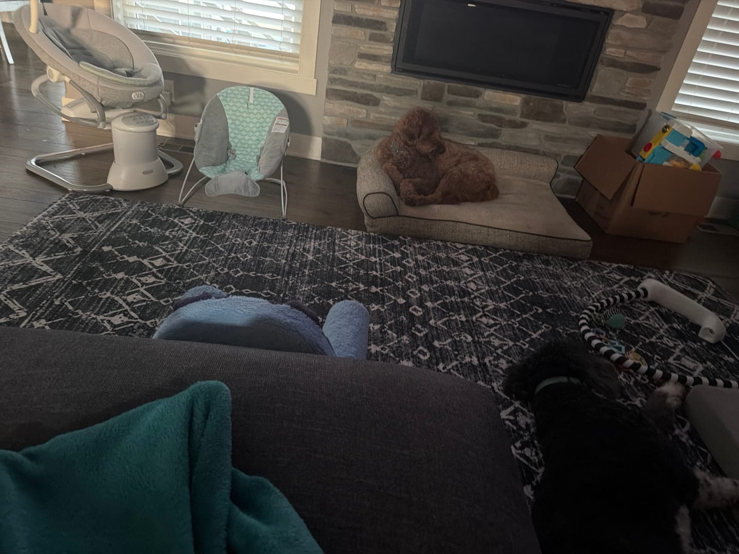 Customer photo review of Designer Relax Mat - 1.4" Thick Foam Base