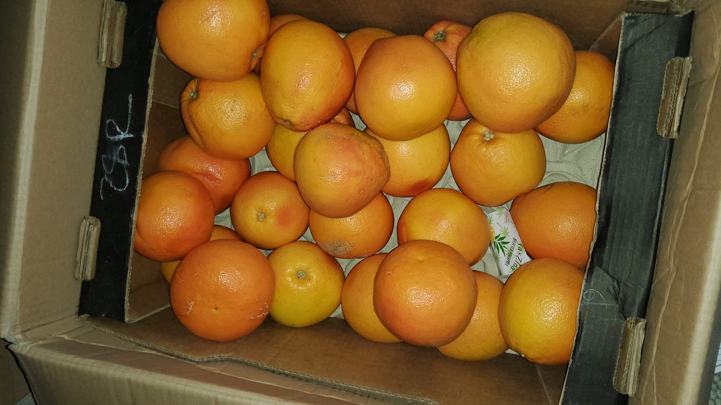 Customer photo review of Grapefruit Bio Pink Sparpreis-Box