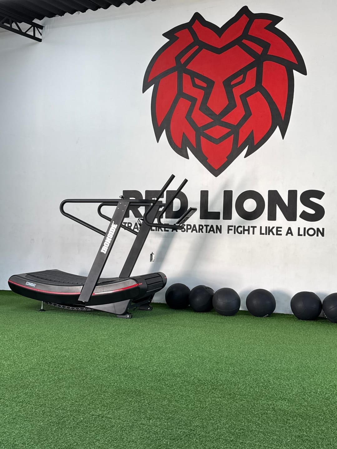 Customer photo review of IRONSIDE Curved Treadmill + Air Bike Combo