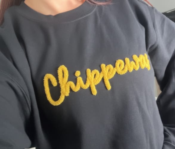 Customer photo review of Custom College Chenille Team Name Embroidered Sweatshirt | Gifts for Sports Mom