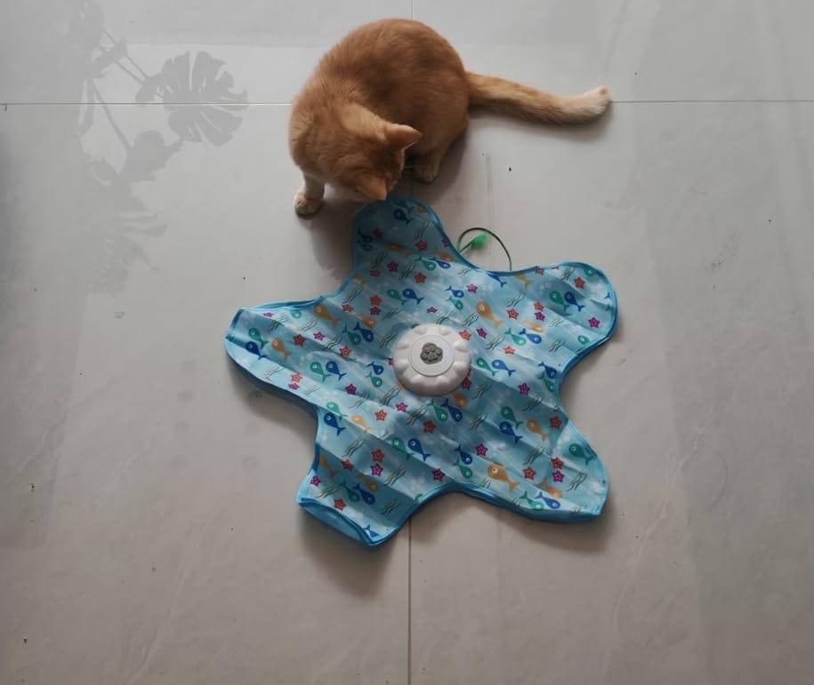 Customer photo review of Automatic Dog Toy for Stress Relief and Playtime Fun