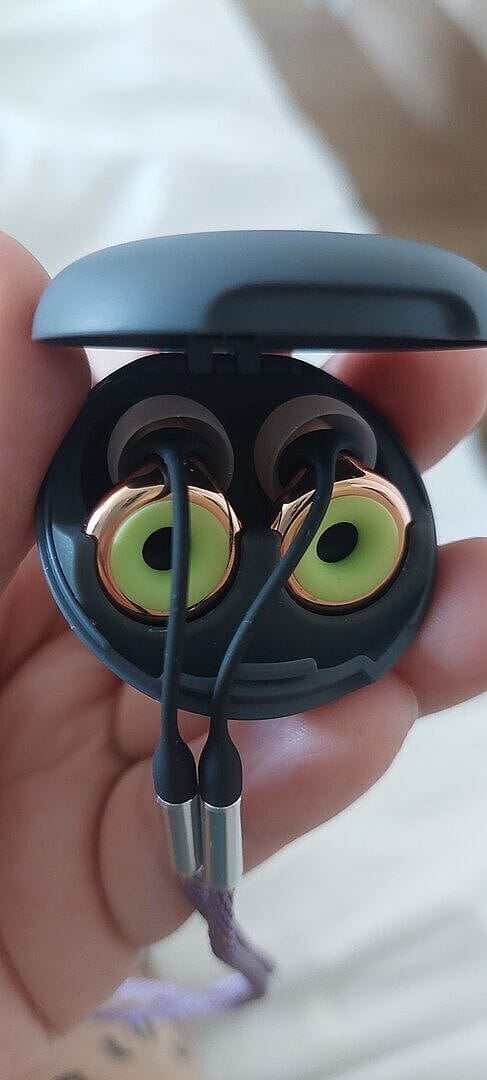 Customer photo review of Loop x Coachella Experience™ 2
