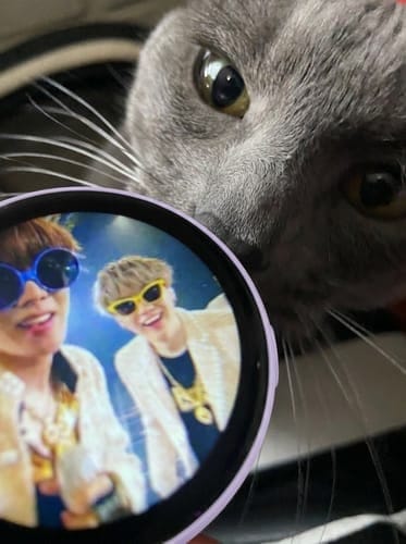 Customer photo review of Bangtanpin™ Pin Digital
