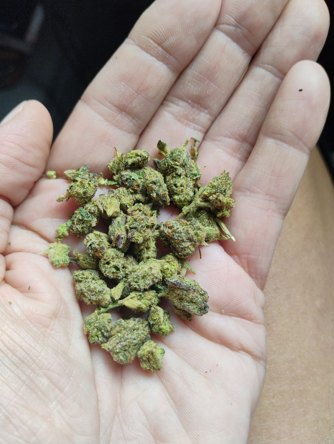 Customer photo review of Runtz Cake - Minis - 14 Grams - Hybrid