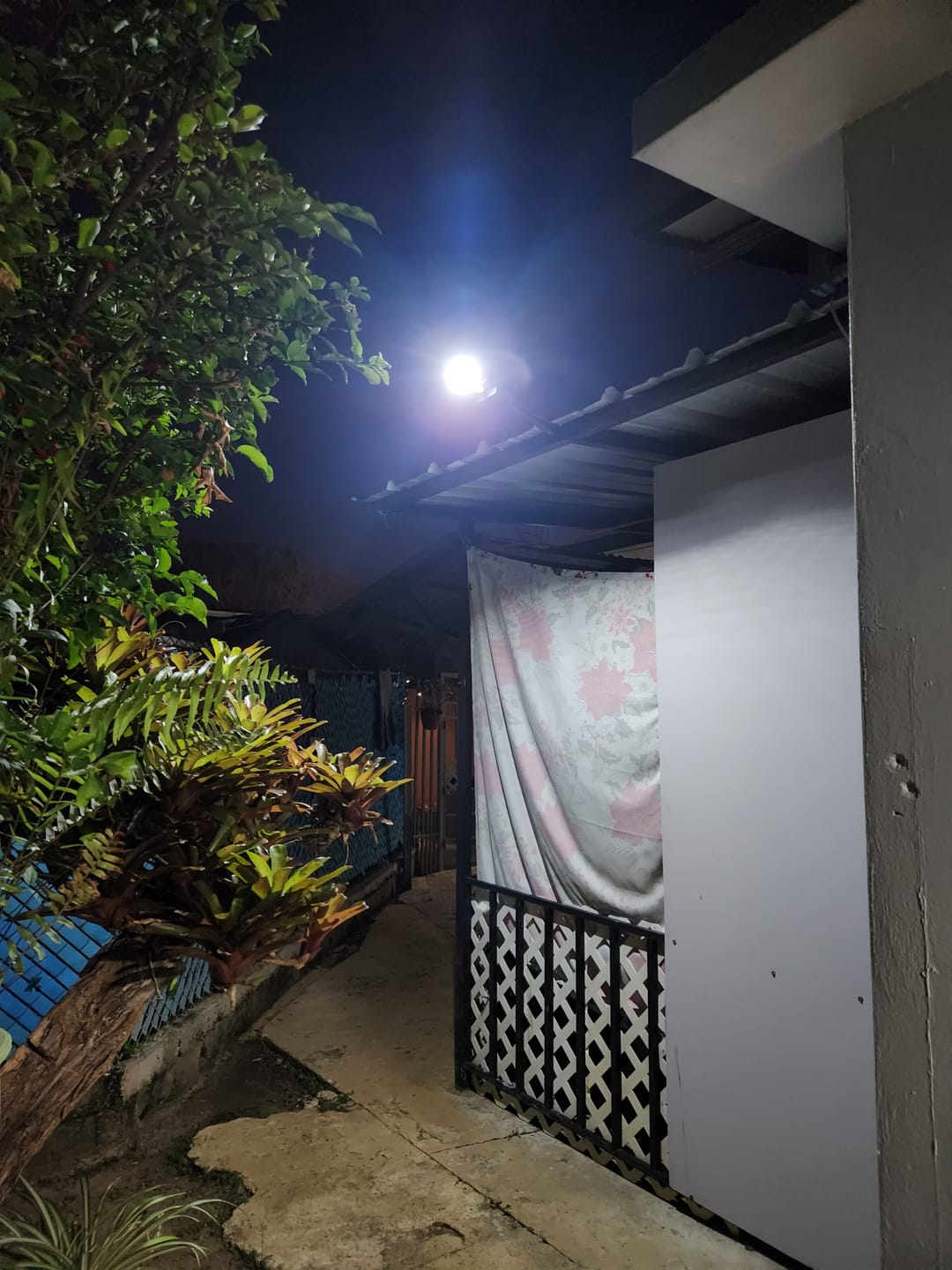 Customer photo review of Foco Solar 100W
