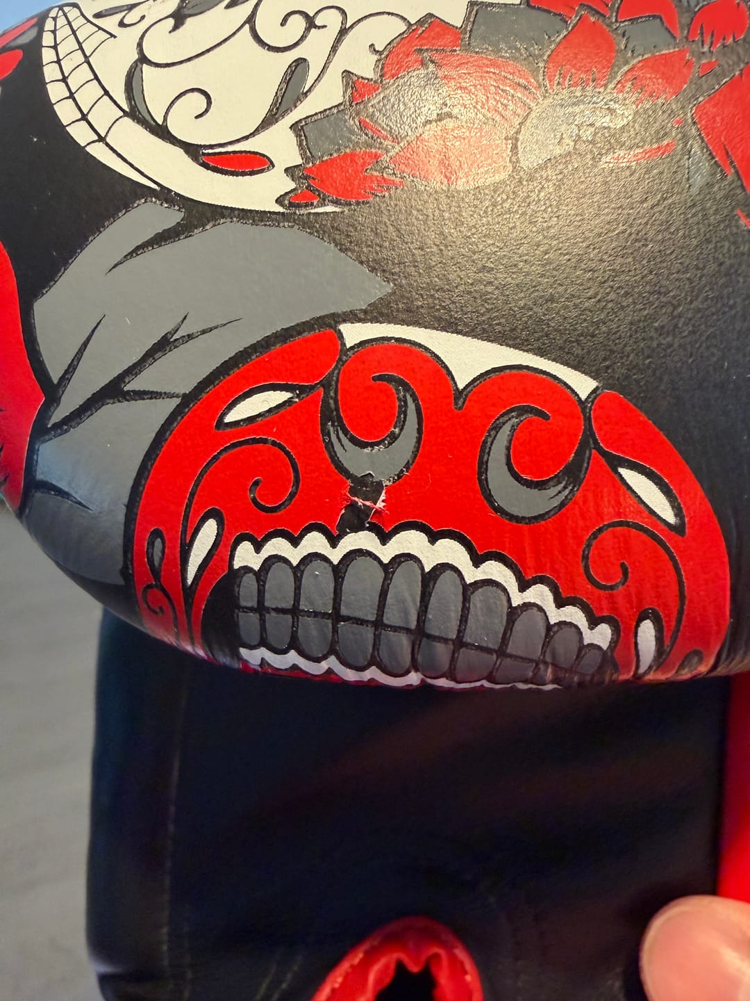 Customer photo review of Twins Special FBGVL3-53 Red Skull Boxing Gloves
