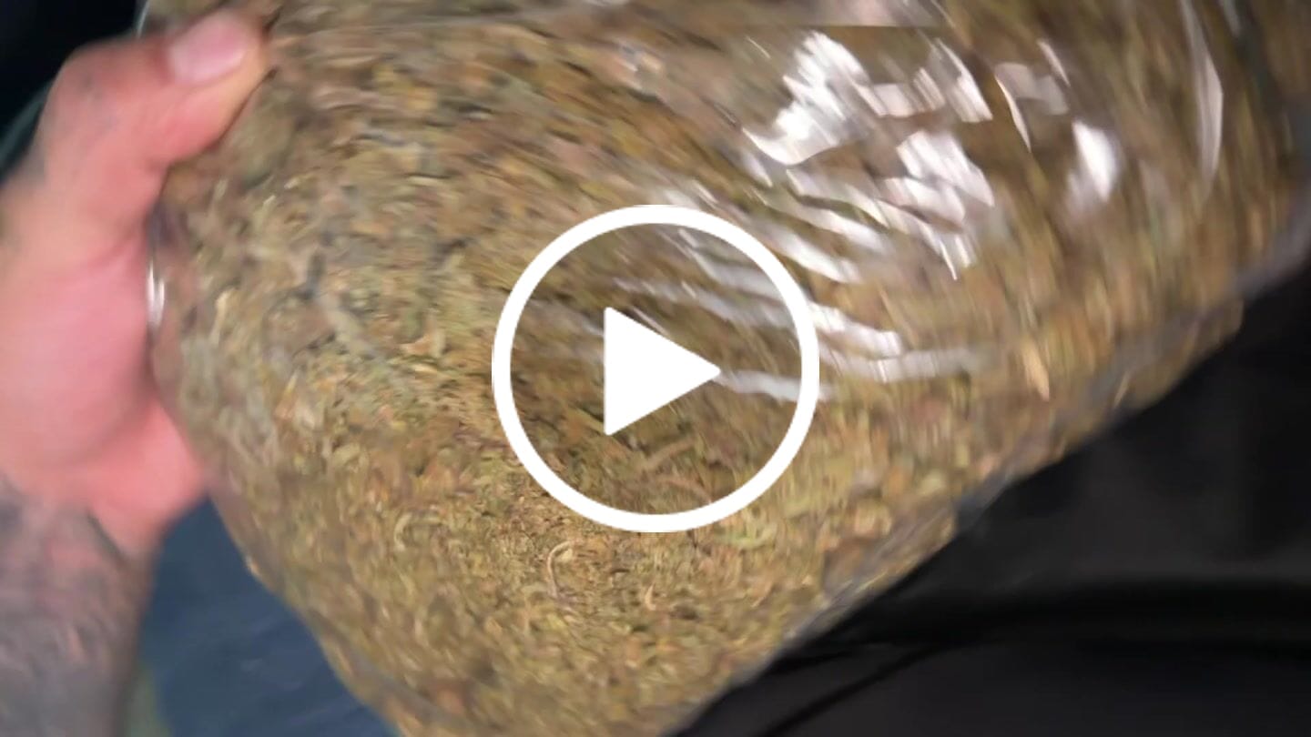 Customer video review of THCA Flower Budget Buds