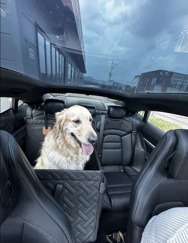 Customer photo review of Marlo&Co™ Single Seat Adventure Bundle