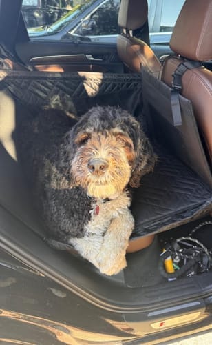 Customer photo review of Marlo&Co™ Single Seat Adventure Bundle