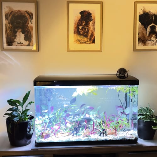Customer photo review of Prio+