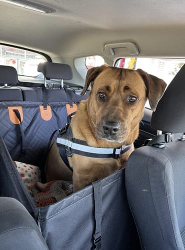 Customer photo review of Marlo&Co™ Single Seat Adventure Bundle