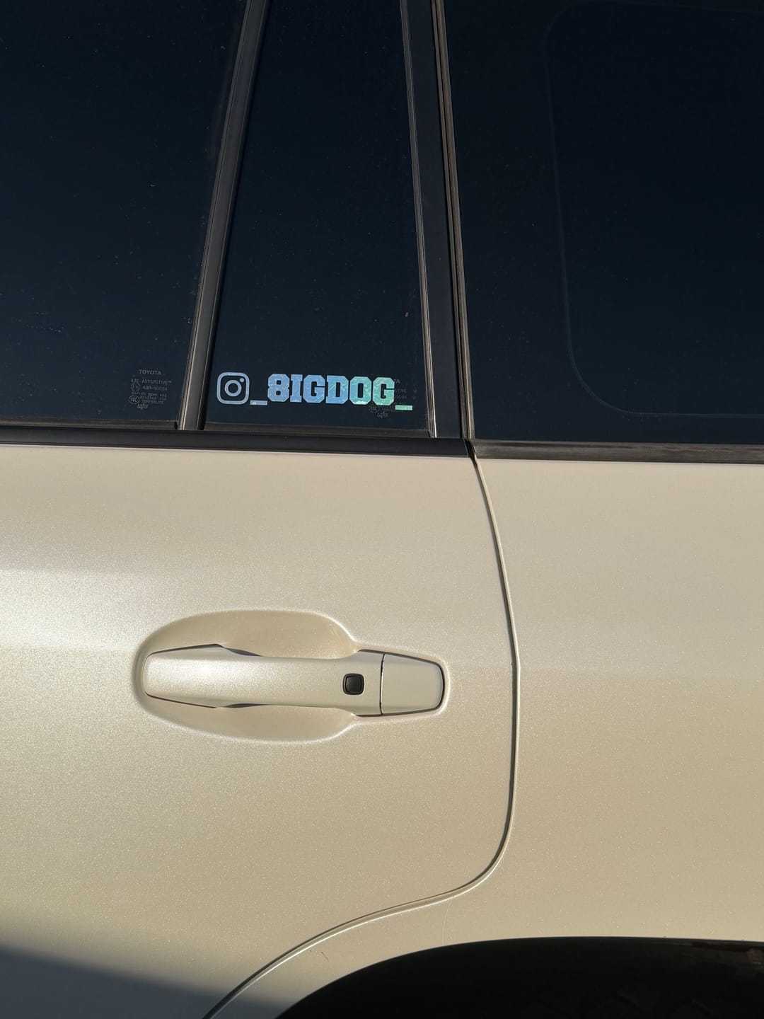Customer photo review of Custom Holographic Instagram Handle Sticker