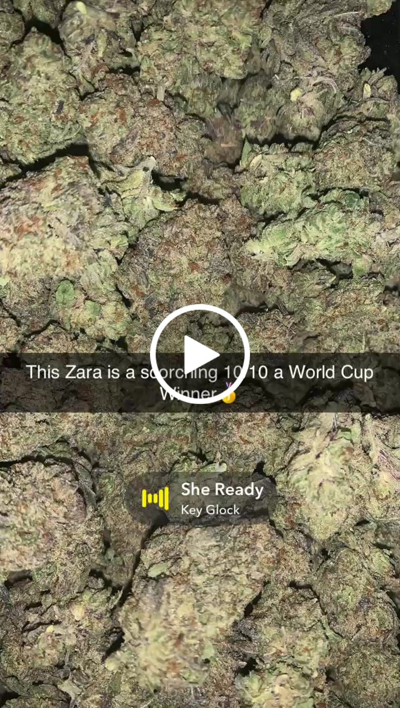 Customer video review of THCA Queen