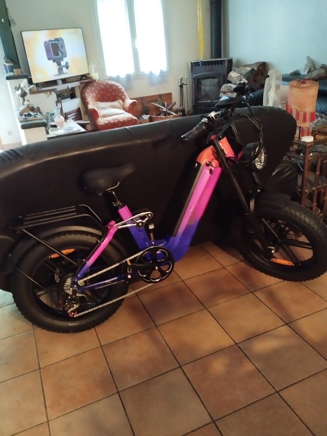 Customer photo review of CMACEWHEEL V20 750W 20" Fat Bike 960Wh Full Suspension E-bike with Torque Sensor 48V 20Ah Battery