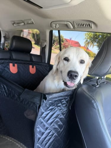 Customer photo review of Marlo&Co™ Single Seat Adventure Bundle