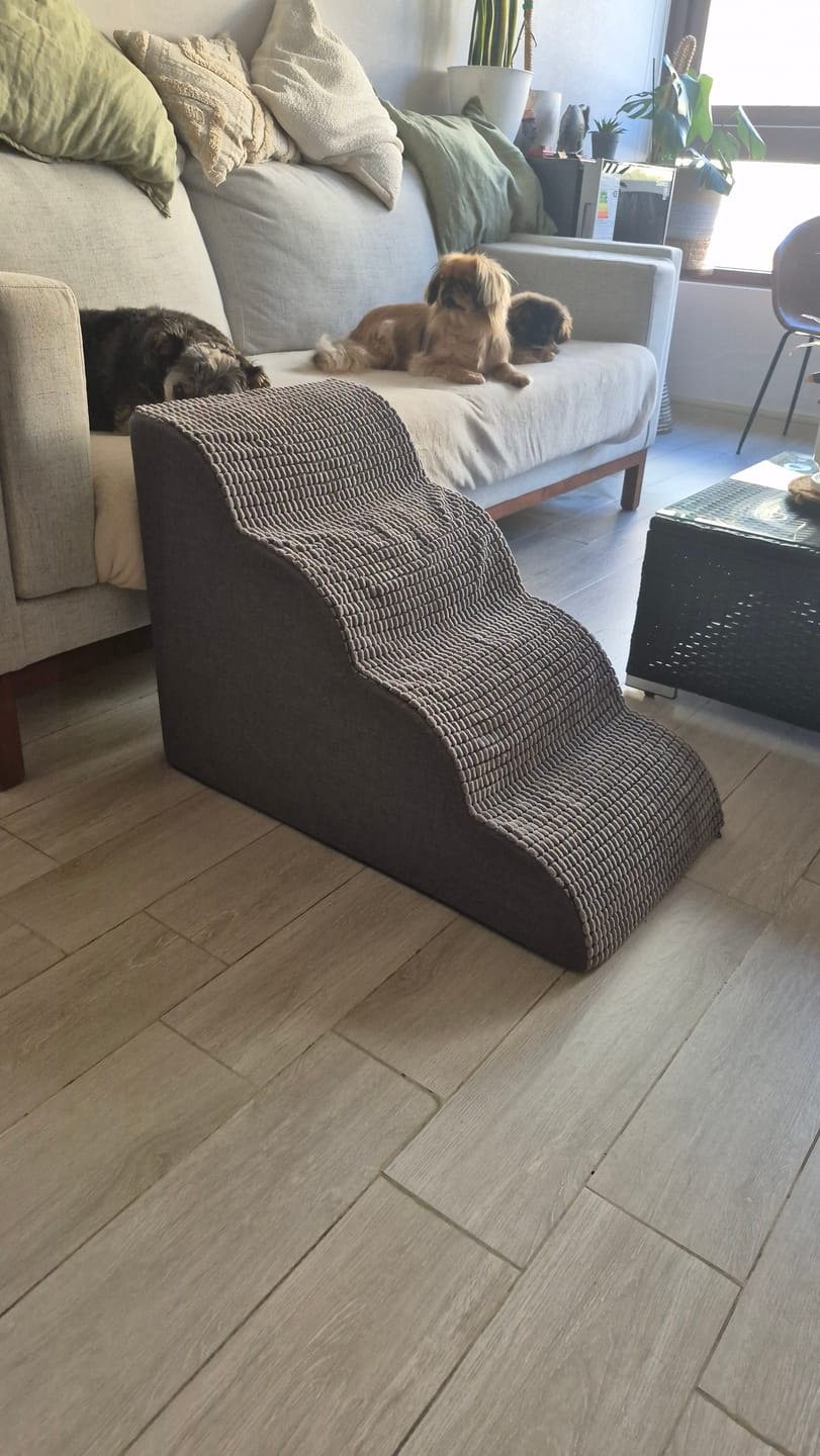 Customer photo review of Rampa Pendiente Suave THE DOGS.