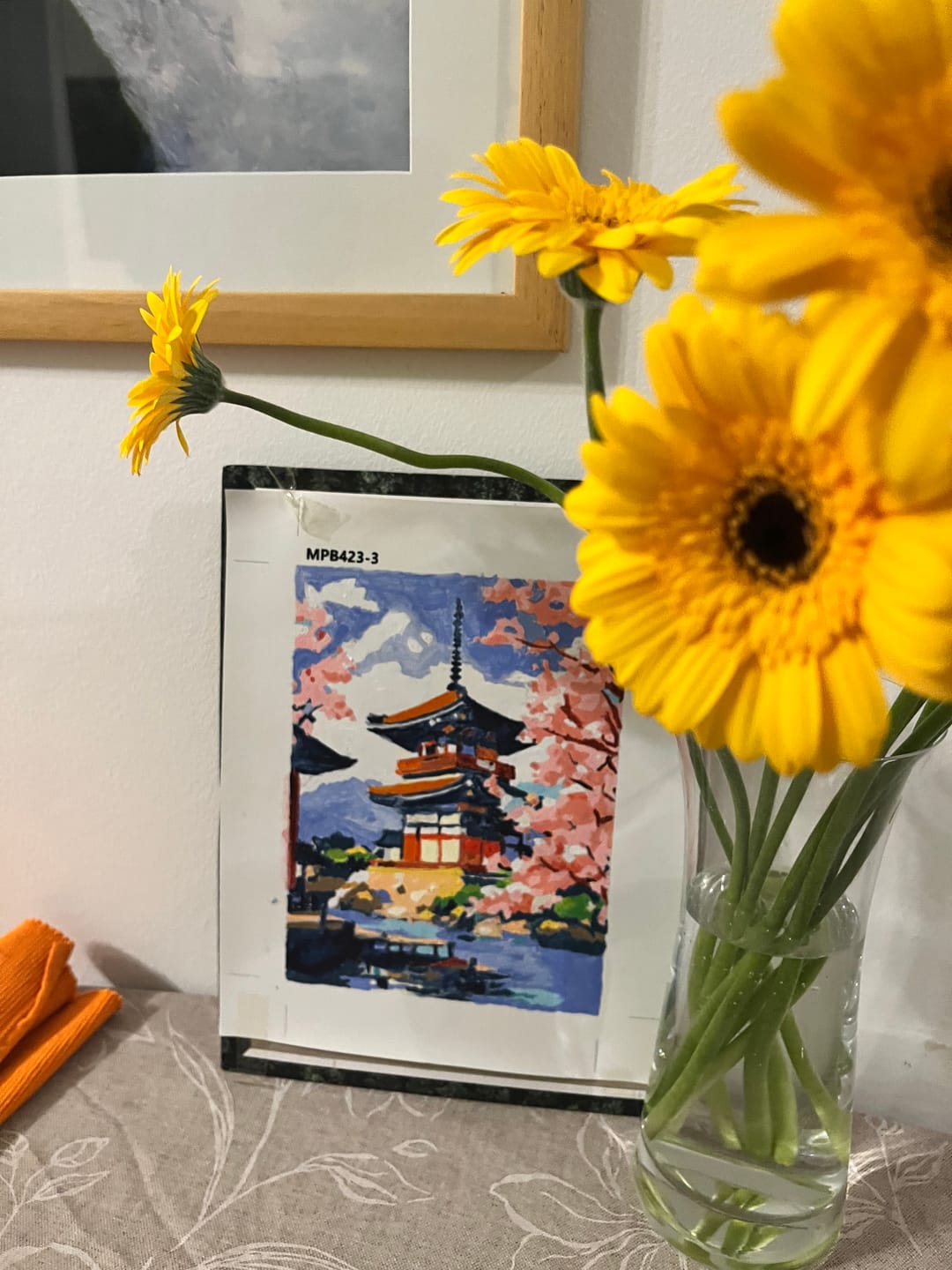 Customer photo review of 6 Mini Paintings - Japanese Landscapes Set