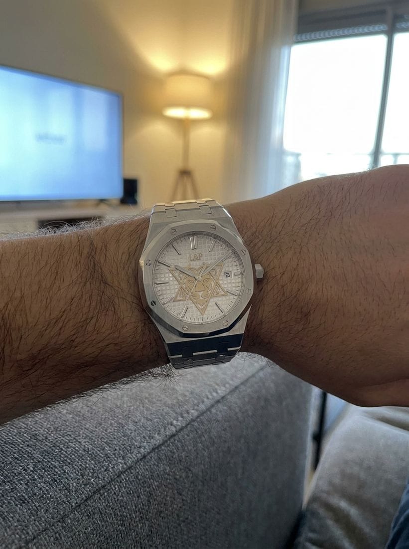 Customer photo review of L&P™ Lion Shield