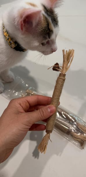 Customer photo review of KELVO™ Pack de Sticks Dentales para Gatos