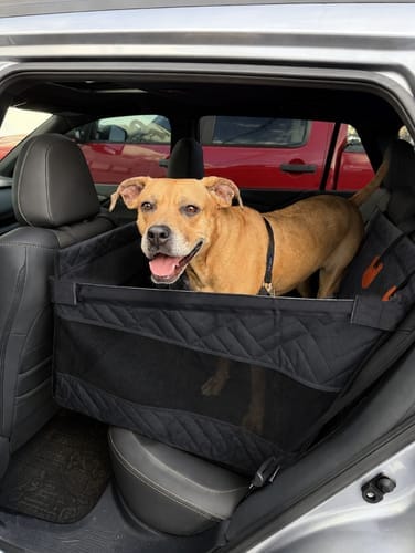 Customer photo review of Marlo&Co™ Single Seat Adventure Bundle