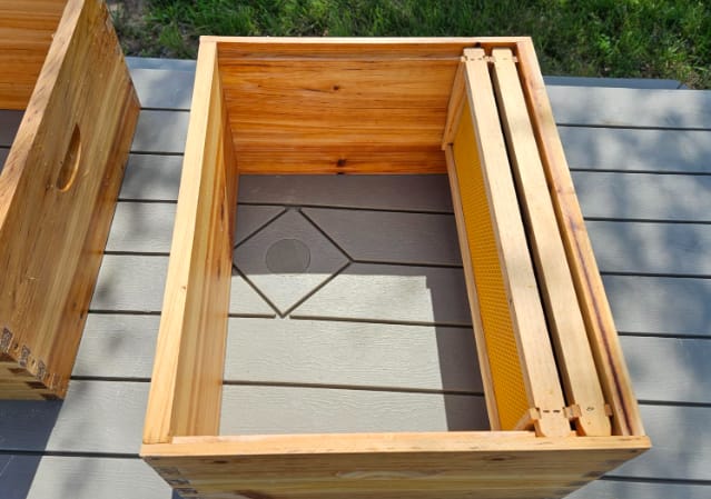 Customer photo review of VLoveBee 10-Frame 4-Layer Cedar Wood Bee Hive Kit – Complete Logo-Free Langstroth Beeswax Dipped Unassembled Hive Includes 2 Deep Boxes and 2 Medium Supers with 40 Plastic Foundation & Wooden Frames