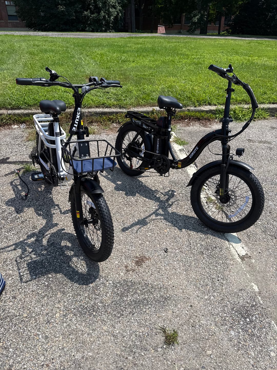 Customer photo review of Eskute® D200 Folding Electric Bike for Adults
